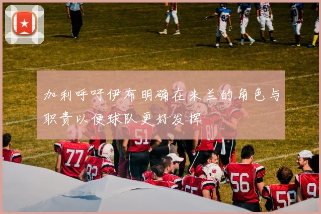 加利呼吁伊布明确在米兰的角色与职责以便球队更好发挥